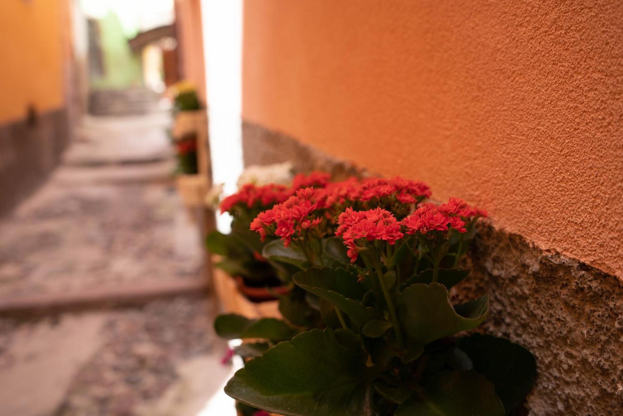 Casa Mirto Hotel Bosa Buitenkant foto
